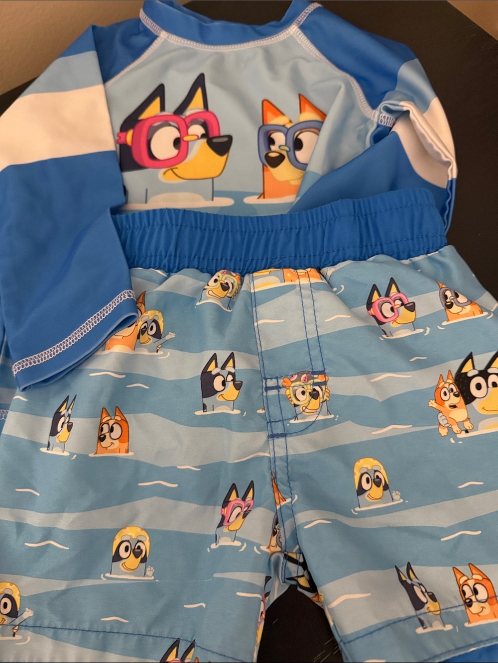 Bluey Kids Swim Trunks & Rash Guard Set - Cartoon Bluey and Bingo. Size 18 month